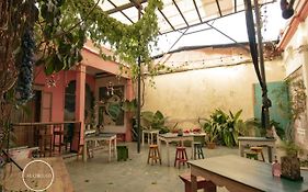 Mini Loft 2 En El Circulo